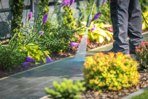Best Driveway Pressure Washing  in Dorr, MI