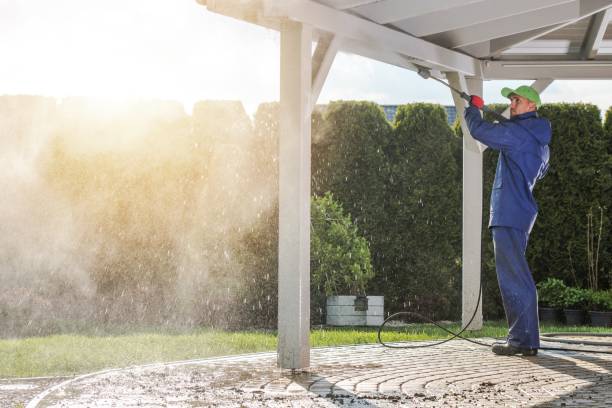  Dorr, MI Pressure Washing Pros
